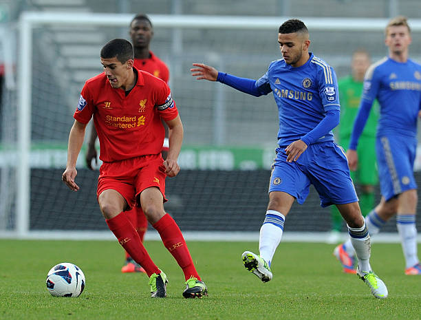 鸟稳固的防 鸟稳固的防